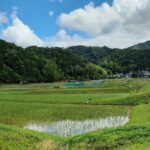 高野　女布地区