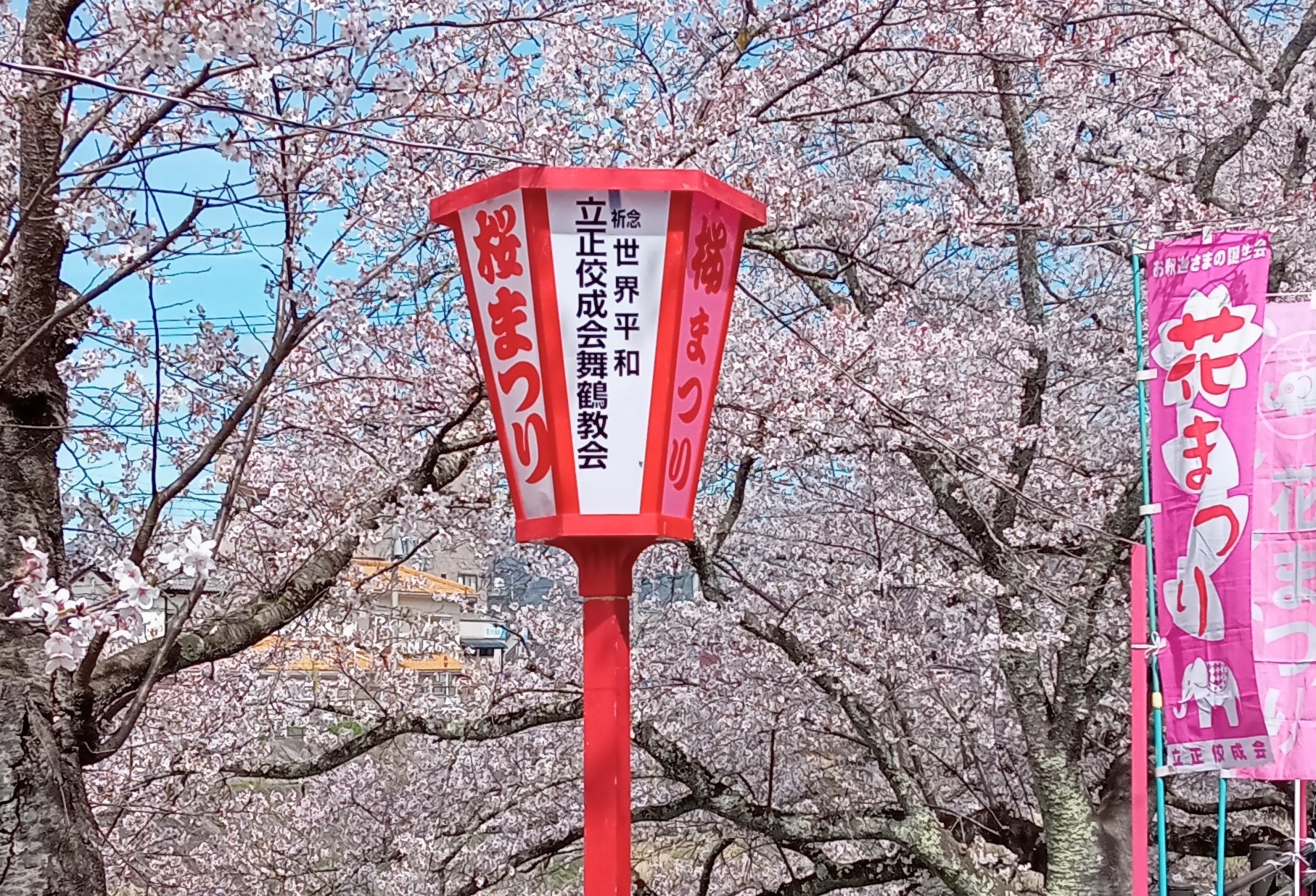 ❤「花まつり地域布教」４月３日、５日❤