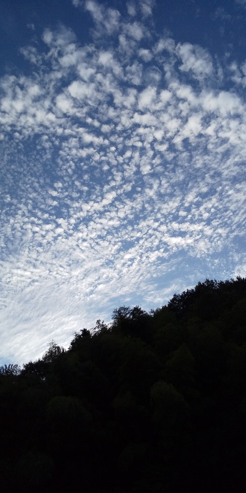 うろこ雲の写真