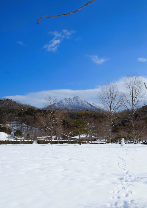 ブログ1月青葉山麓